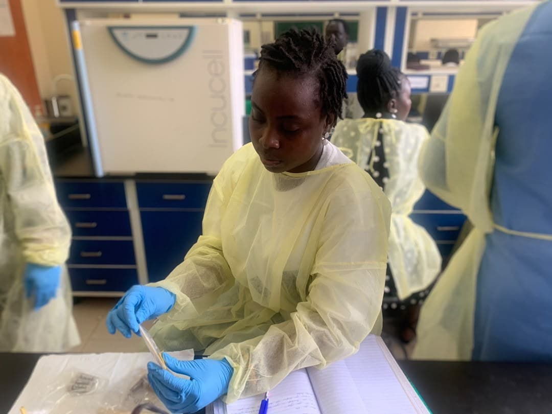Researcher in a protective gown and gloves processing samples in a laboratory